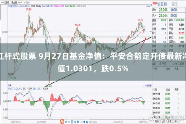 杠杆式股票 9月27日基金净值：平安合韵定开债最新净值1.0301，跌0.5%