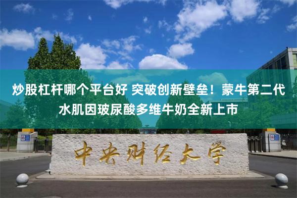 炒股杠杆哪个平台好 突破创新壁垒！蒙牛第二代水肌因玻尿酸多维牛奶全新上市