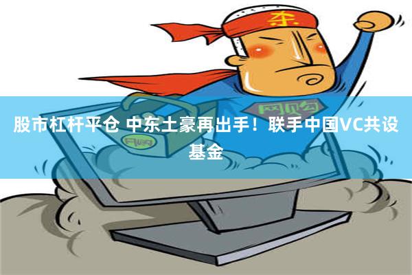 股市杠杆平仓 中东土豪再出手！联手中国VC共设基金