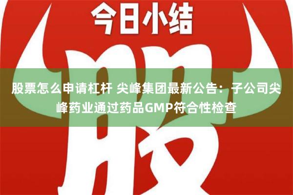 股票怎么申请杠杆 尖峰集团最新公告：子公司尖峰药业通过药品GMP符合性检查