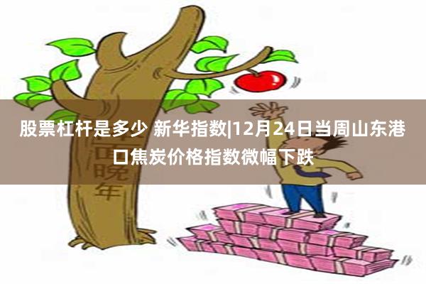 股票杠杆是多少 新华指数|12月24日当周山东港口焦炭价格指数微幅下跌